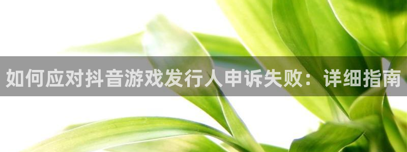 蓝狮在线注册平台合法吗?：如何应对抖音游戏发行人申诉失败：详细指南