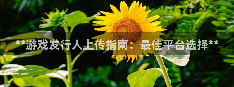 蓝狮在线注册方法有哪些呢：**游戏发行人上传指南：最佳平台选择**