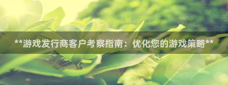 蓝狮在线是赌博么：**游戏发行商客户考察指南：优化您的游戏策略**