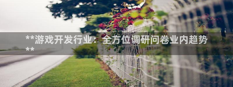 蓝狮在线平台是骗局吗：**游戏开发行业：全方位调研问卷业内趋势
**