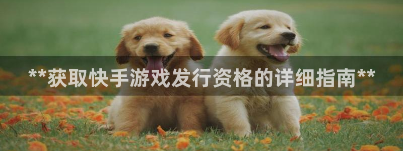 蓝狮红酒怎么样：**获取快手游戏发行资格的详细指南**