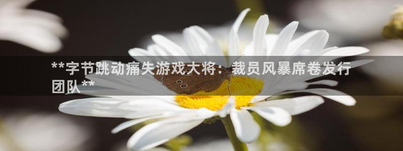 蓝狮在线登录注册不了怎么回事：**字节跳动痛失游戏大将：裁员风暴席卷发行
团队**