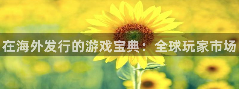 蓝狮电子商务有限公司怎么样知乎