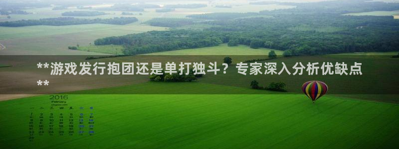 陕西蓝狮子文化公司有什么游戏：**游戏发行抱团还是单打独斗？专家深入分析优缺点
**
