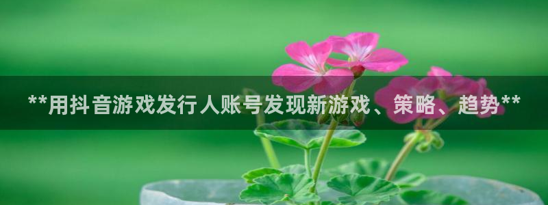蓝狮电子商务有限公司招聘：**用抖音游戏发行人账号发现新游戏、策略、趋势**