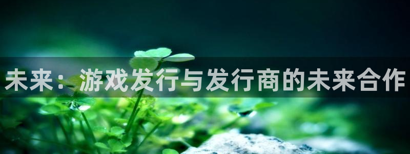 蓝狮技术有限公司官网