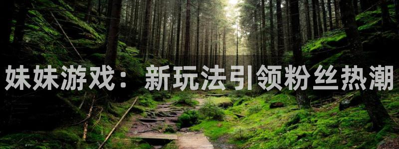 蓝狮集团董事长刘一辰简历