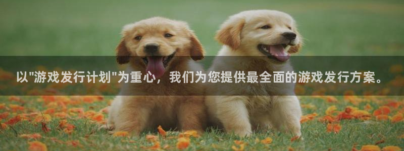 蓝狮实业投资(东莞)有限公司：以\