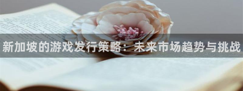 蓝狮子文化创意有限公司：新加坡的游戏发行策略：未来市场趋势与挑战