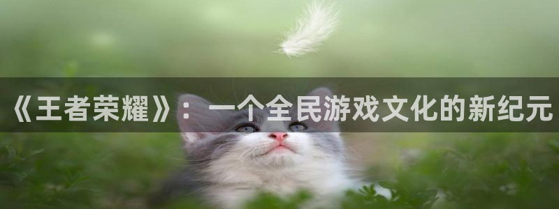 蓝狮在线登录注册账号失败：《王者荣耀》：一个全民游戏文化的新纪元