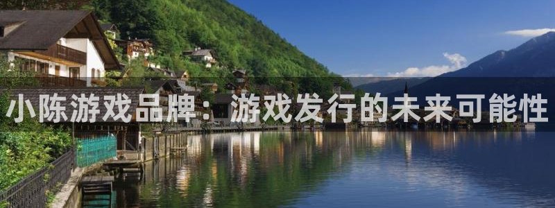 蓝狮在线平台代理开号：小陈游戏品牌：游戏发行的未来可能性