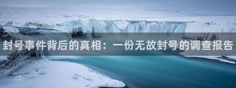 蓝狮集团董事长刘一辰简历：封号事件背后的真相：一份无故封号的调查报告
