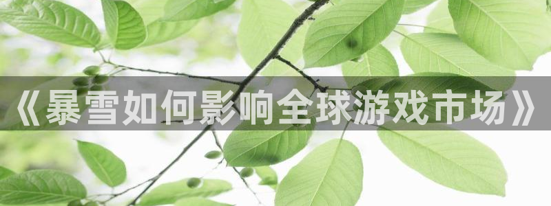 蓝狮集团公司怎么样：《暴雪如何影响全球游戏市场》