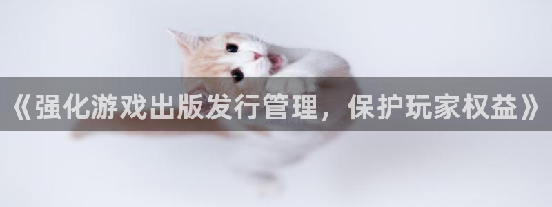 蓝狮在线注册地址查询：《强化游戏出版发行管理，保护玩家权益》